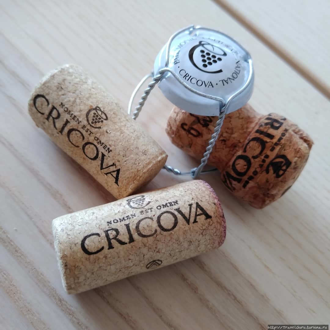 Проволочка, которой привя