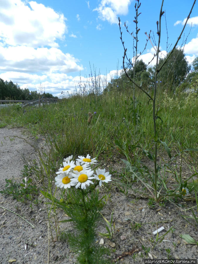 Город Жуковка Жуковка, Россия