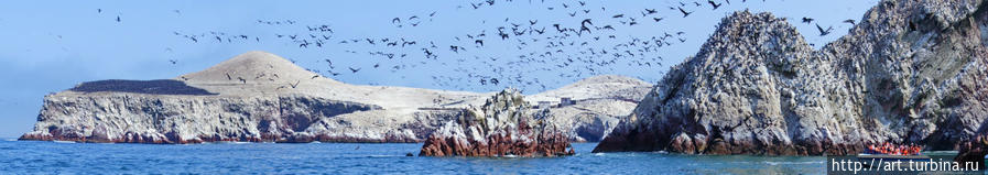 знаменитые острова Баллестас, на побережье к югу от Лимы, с многотысячной птичьей армией и залежами их гуано Перу