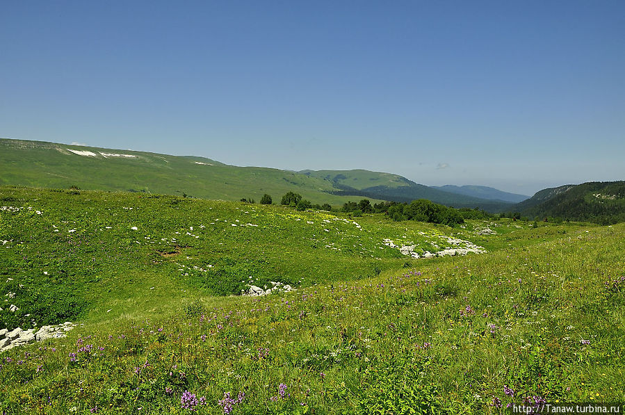 Мне бы в горы, мне бы в горы... Каменномостский, Россия