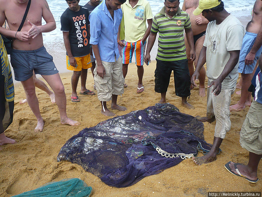 Рыбная ловля на берегу океана Ваддува, Шри-Ланка