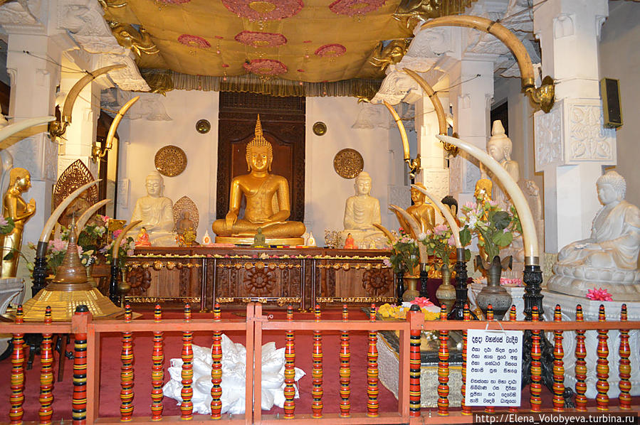 Храм зуба Будды Маравилла, Шри-Ланка