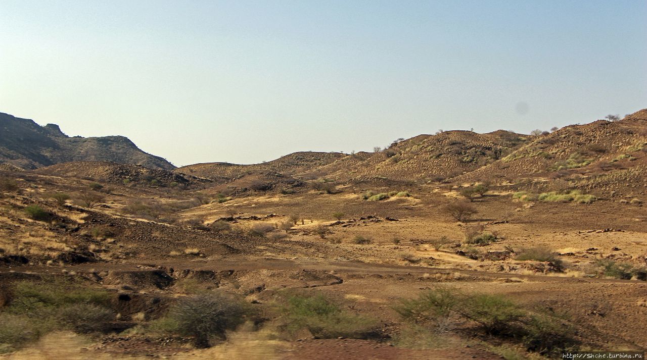 Эфиопские картинки. Дорога в Лалибелу. Пустынный регион Афар Регион Афар, Эфиопия