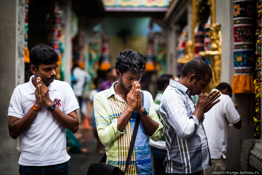 Из интернета