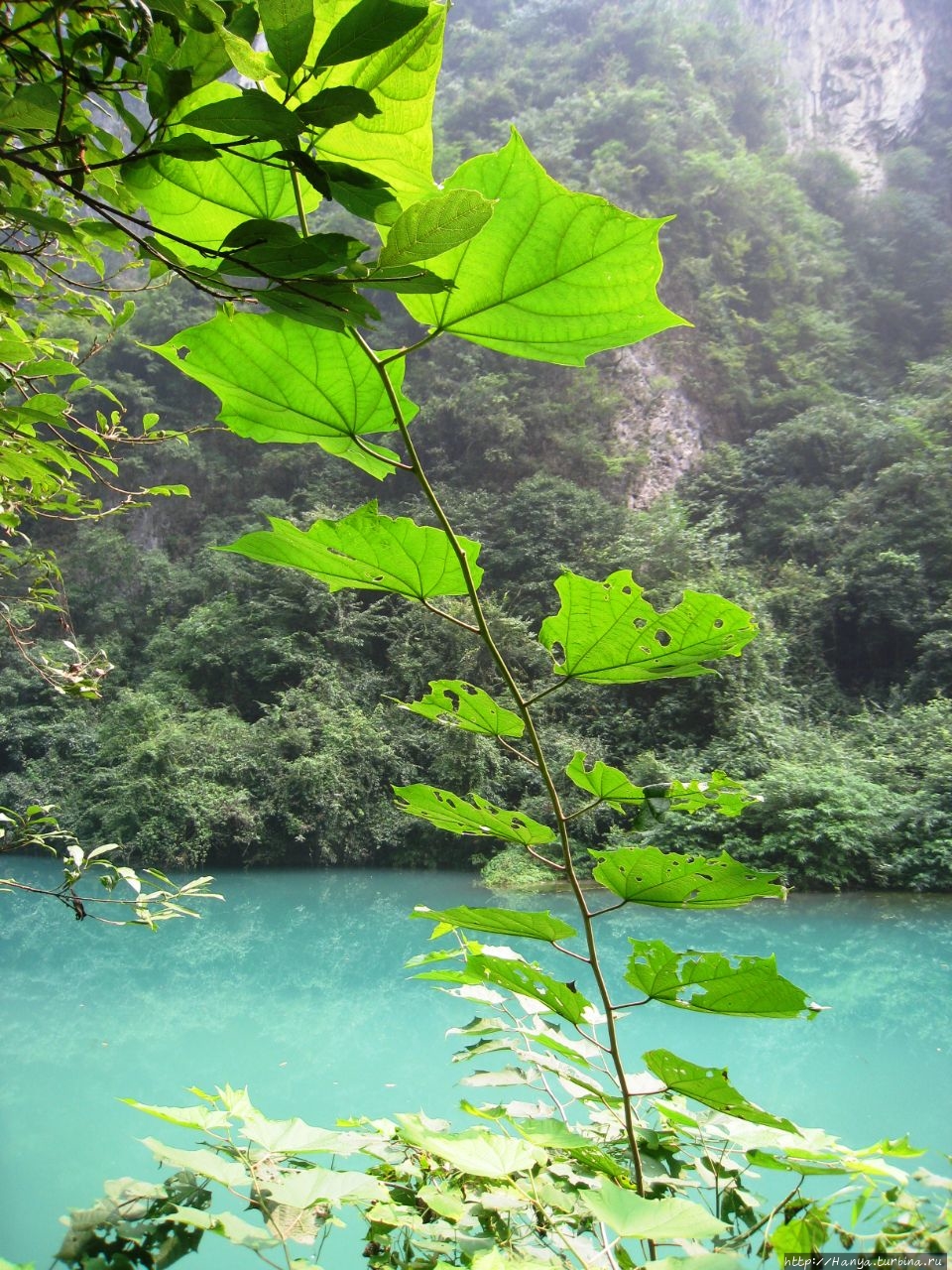 Гранд Каньон Чжанцзязце Чжанцзяцзе Национальный Лесной Парк (Парк Аватар), Китай