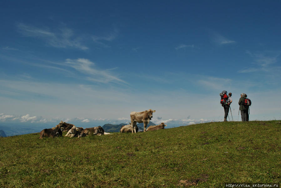 На вершине Бруннен, Швейцария