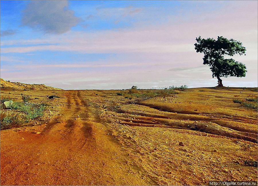 Дорога к озеру