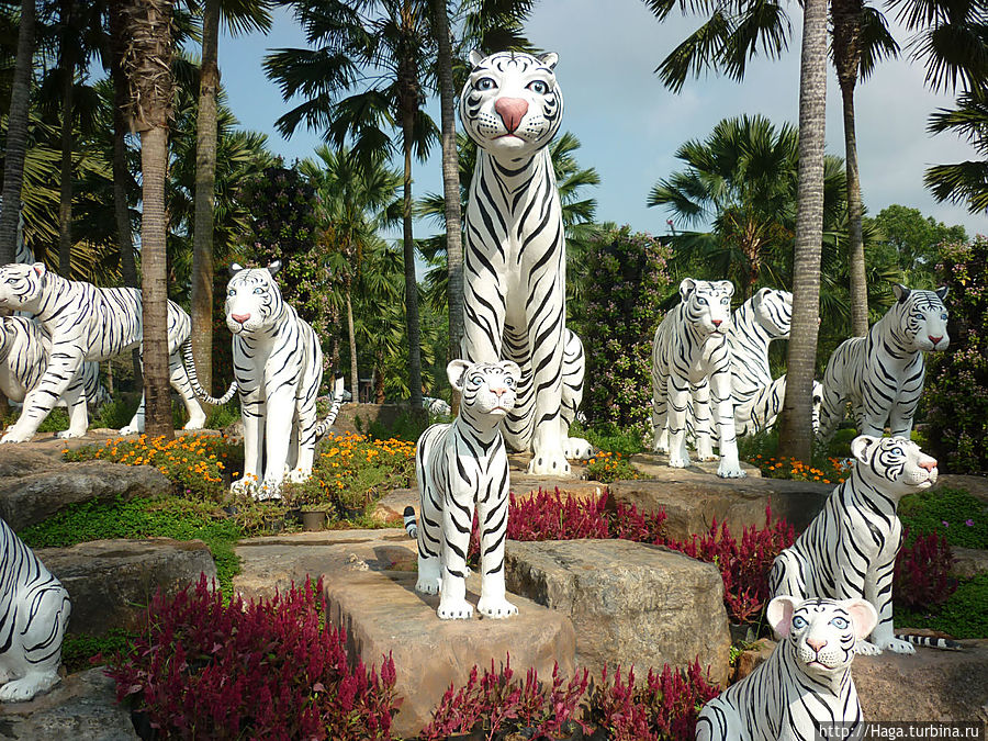 Тропический парк Нонг Нуч. Паттайя, Таиланд
