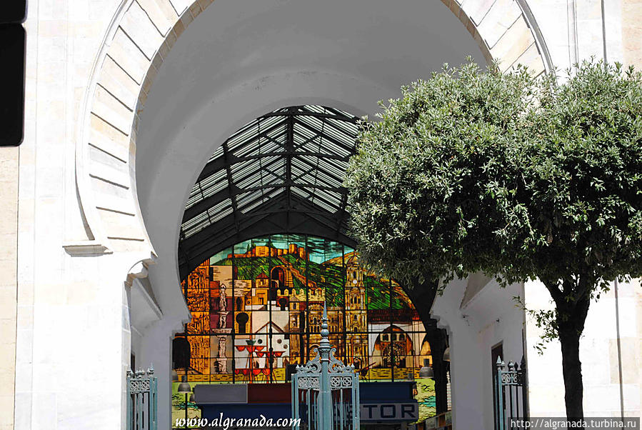 Столица света Малага, Испания