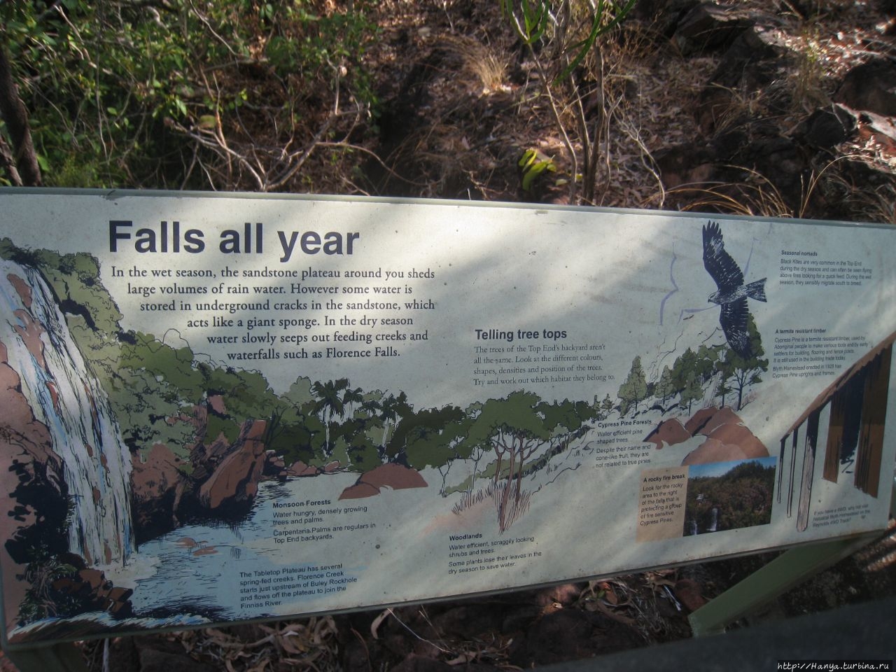 Водопады Флоренс Литчфилд Национальный Парк, Австралия