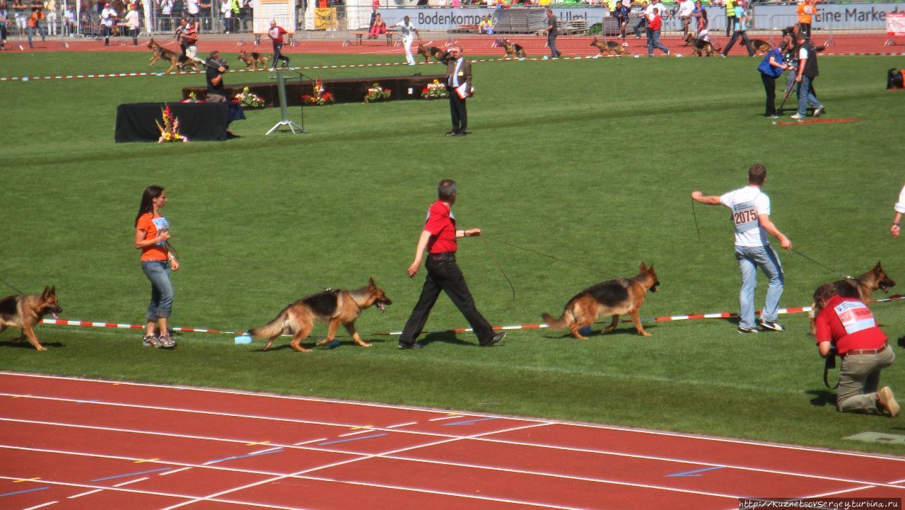 Зигер в Ульме Ульм, Германия