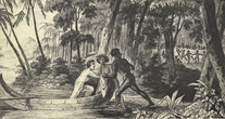 Побег миссис Фрейзер от дикарей, Джон Кертис, 1838 г. Государственная библиотека Квинсленда.