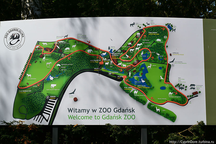 Очень понравилось, что на каждом шагу расположены карты зоопарка, так что потеряться или найти зверюшку не составит особого труда. Гданьск, Польша