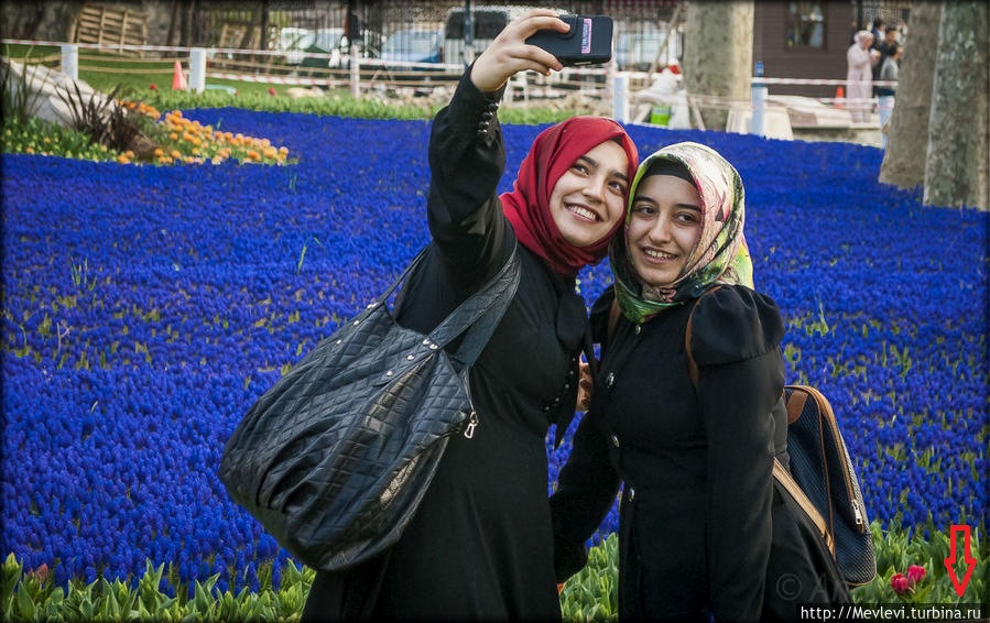 Итоги недели 14-20 апреля