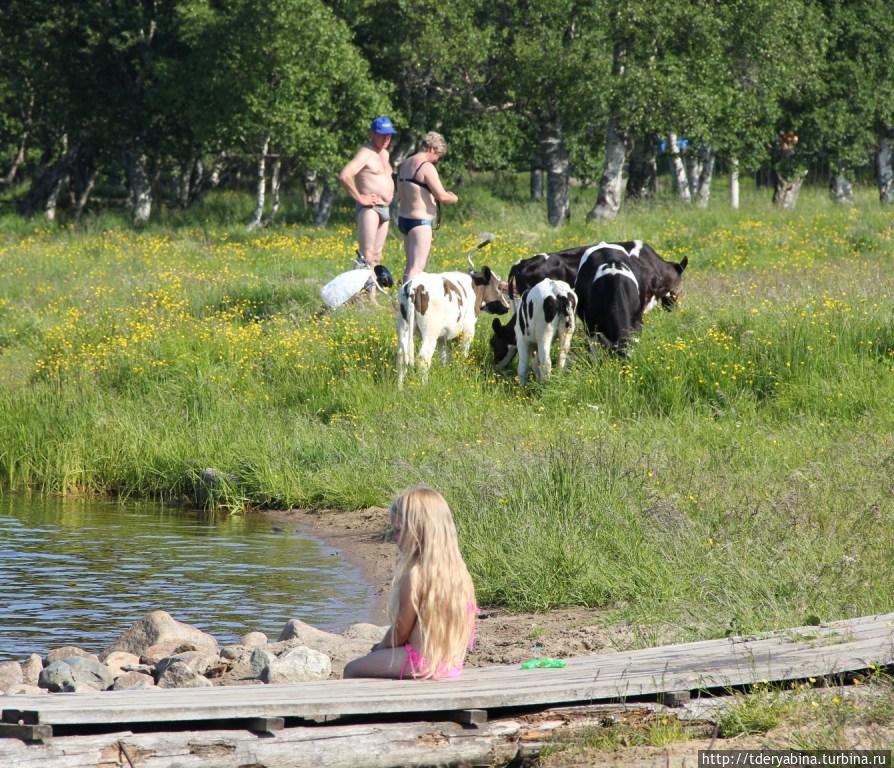 Купаемся в Карелии