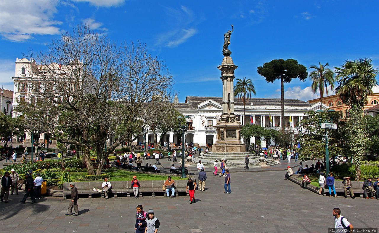 Scorts Quito