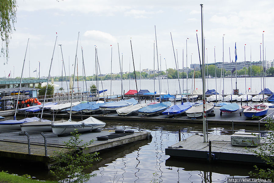 На озере Альстер Гамбург, Германия