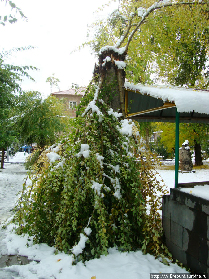 Первый снег. 06.10.2013 Джермук, Армения