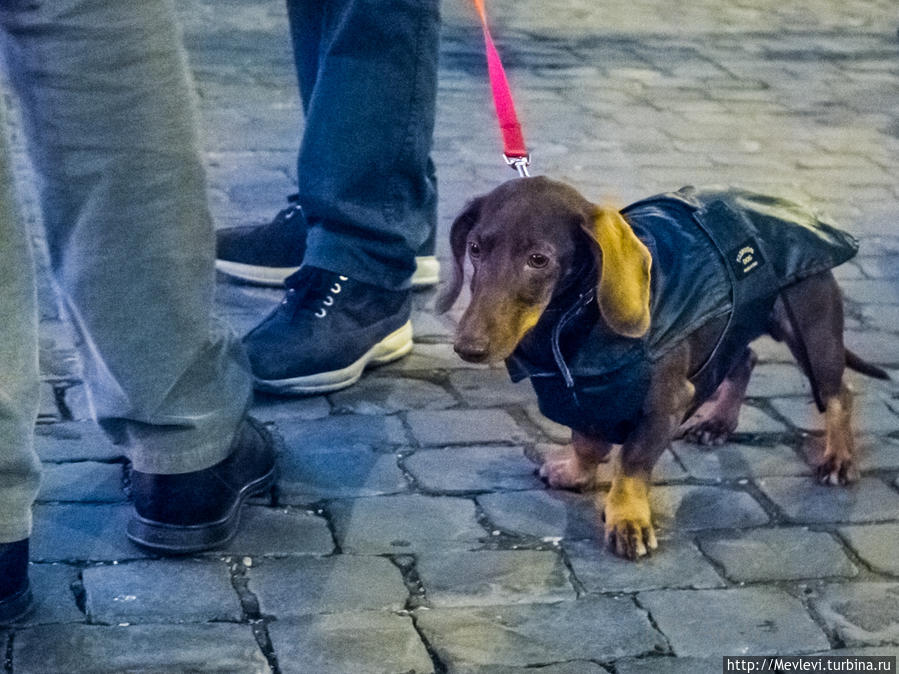 Ночная набережная Рима Рим, Италия