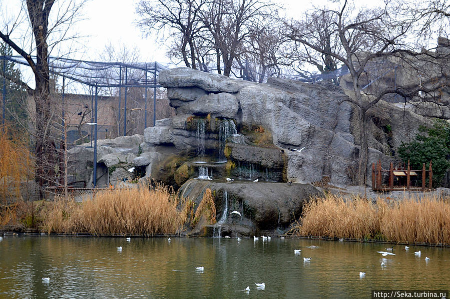 В будапештском зоопарке зимой Будапешт, Венгрия