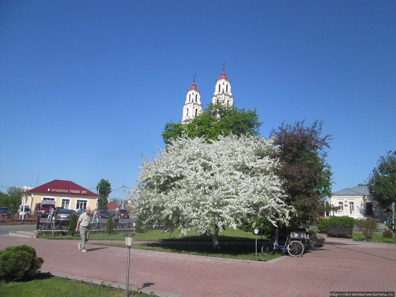 Аллея известных земляков Глубокое, Беларусь