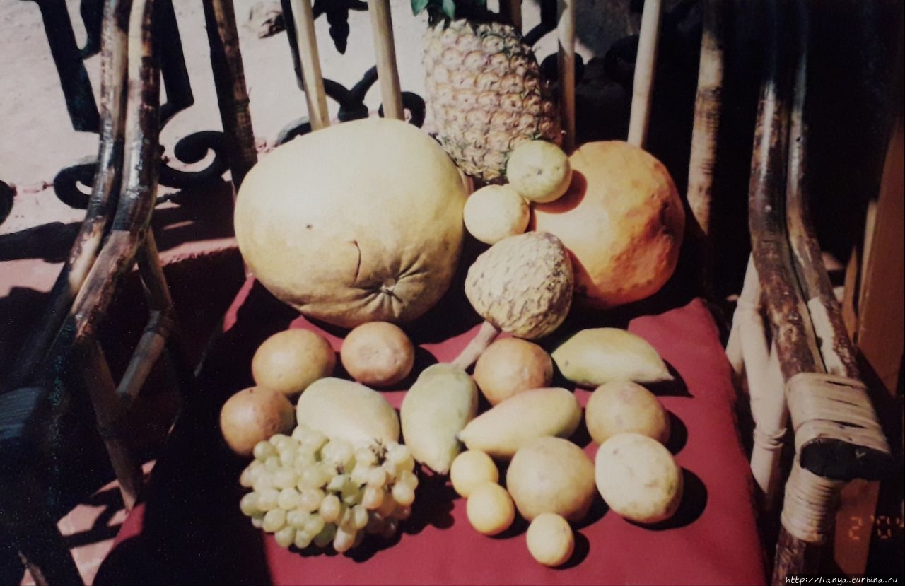Тропические фрукты Штат Гоа, Индия