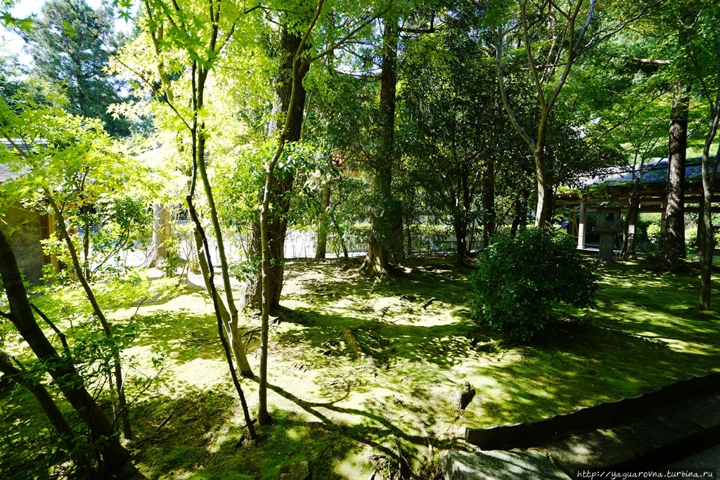 Рёан-дзи храм и сад камней Киото, Япония