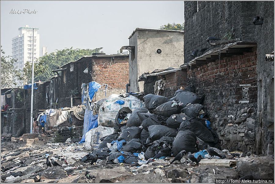 А вот с мусоровозами, похоже, — здесь напряженка...
* Мумбаи, Индия