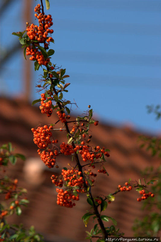 Разноцветная осень Штутгарт, Германия