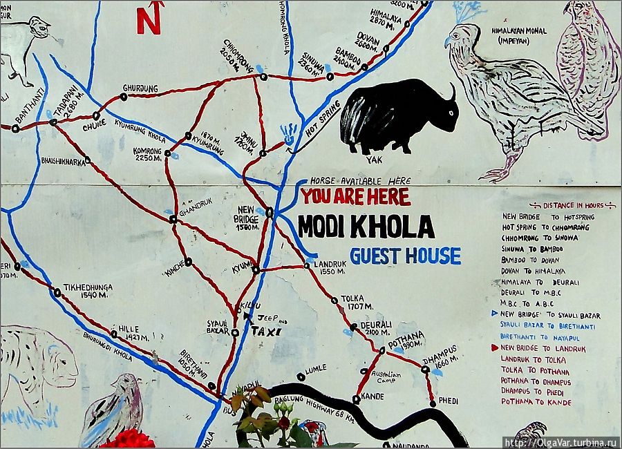 Вот и добрались до Нью Бриджа. В каждом селении есть такая карта, по которой можно понять, где сейчас находится треккер Чомронг, Непал