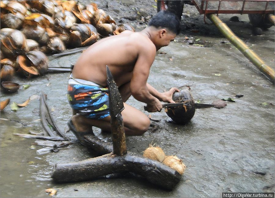 Станок для очищения кокоса Булусан, Филиппины
