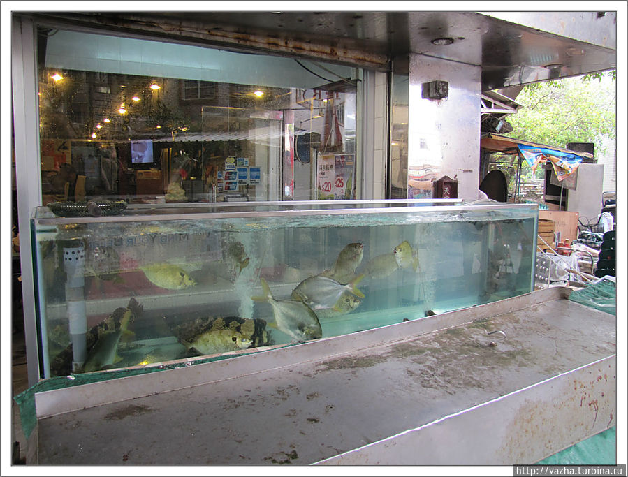 Вот и сама рыба Остров Ламма, Гонконг