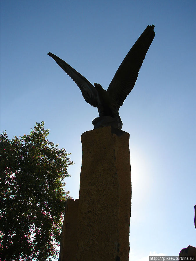 Оболонский орел Киев, Украина