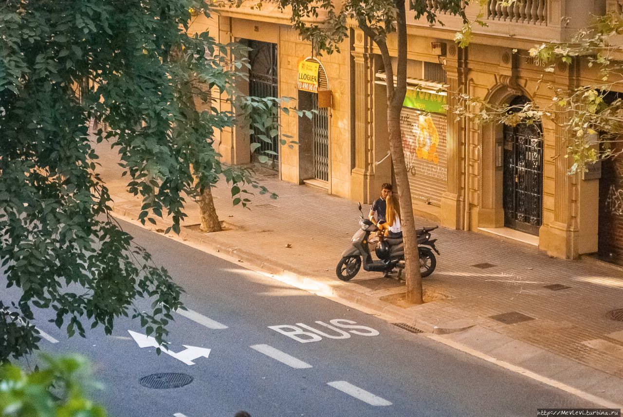 Август в Барселоне Барселона, Испания