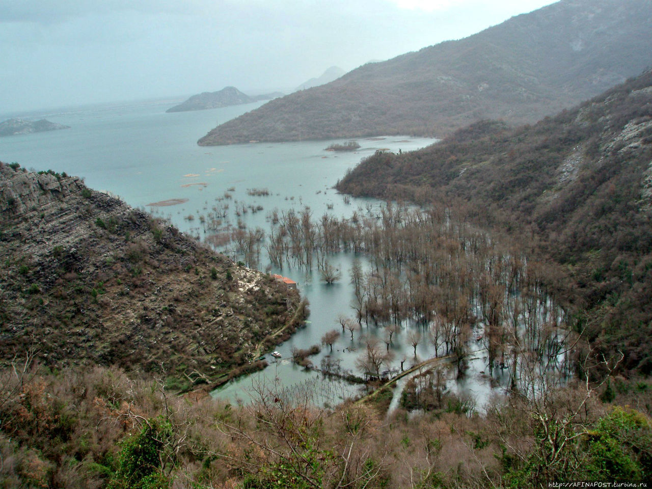 Скадарское озеро. Разлив Скадарское озеро, Черногория