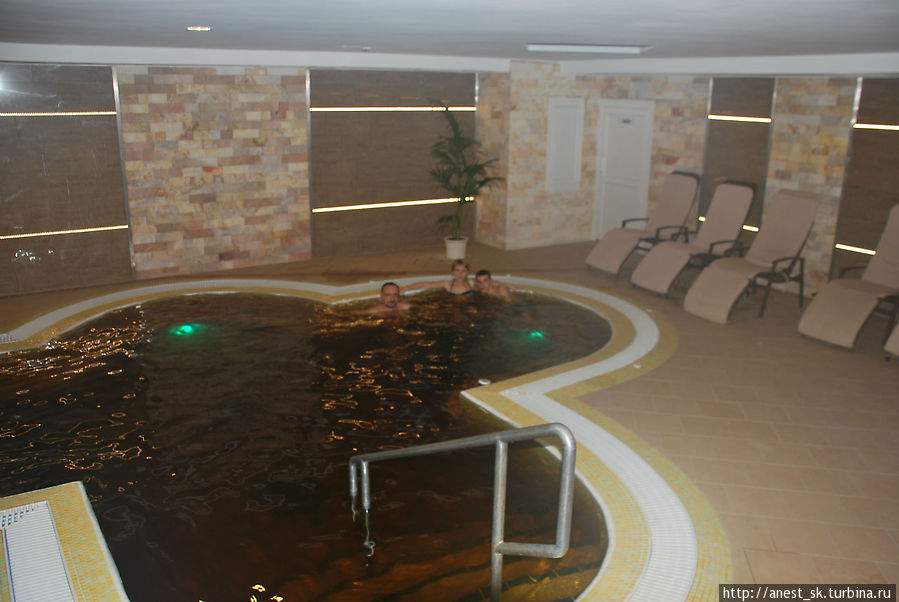 Термальный басейн в отеле. Хайдусобосло, Венгрия