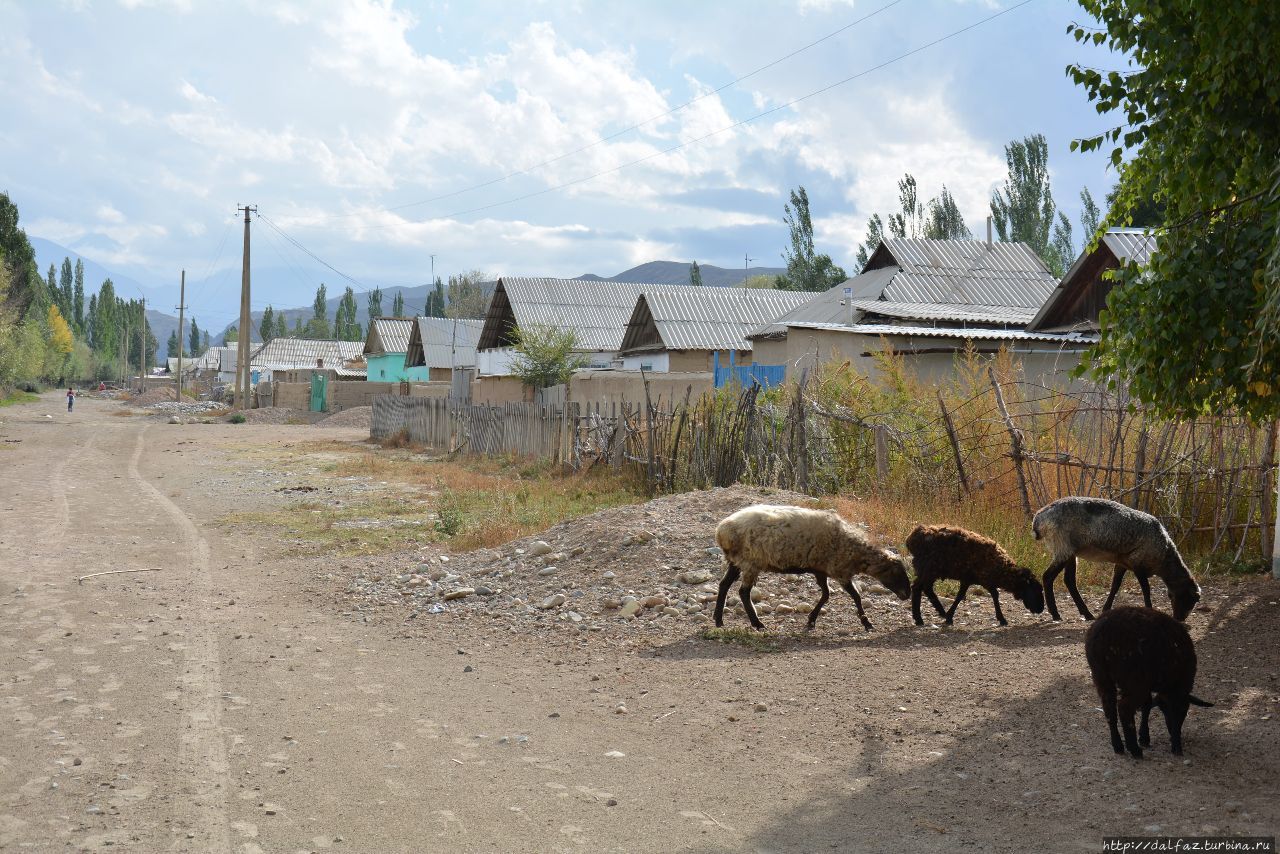 Киргизия чалдовар фото