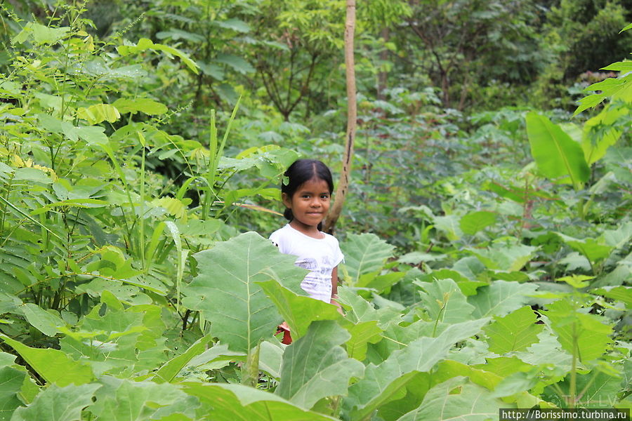 Дочь джунглей Перу