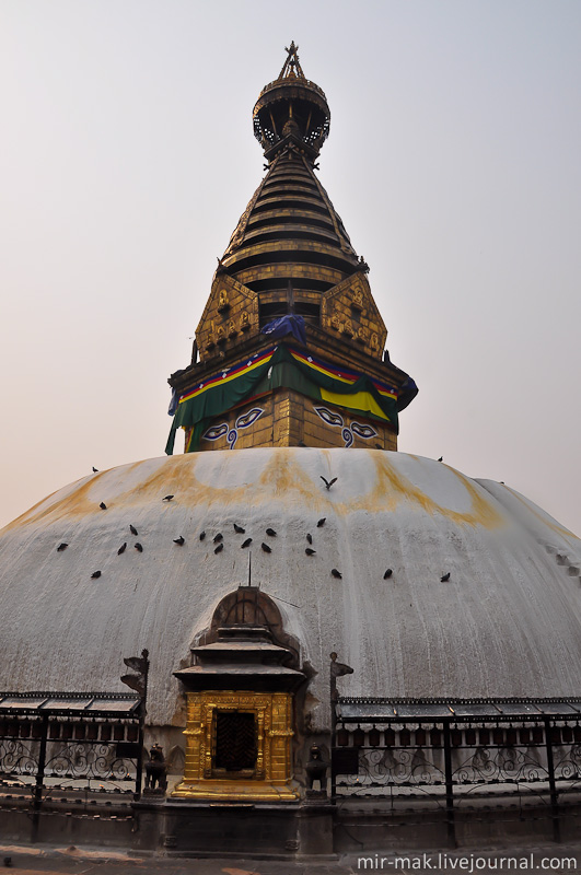 Сваямбунатх — это буддийский храмовый комплекс, располагающийся на холме на окраине города, в центре которого установлена огромная ступа. Катманду, Непал