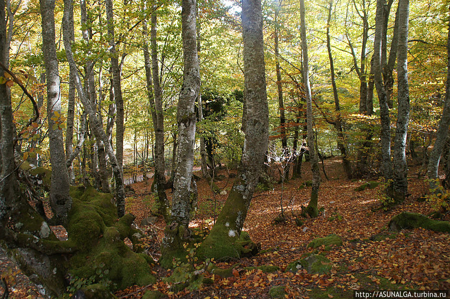 Путь на канатную дорогу в природный заповедник Пики Европы Потес, Испания