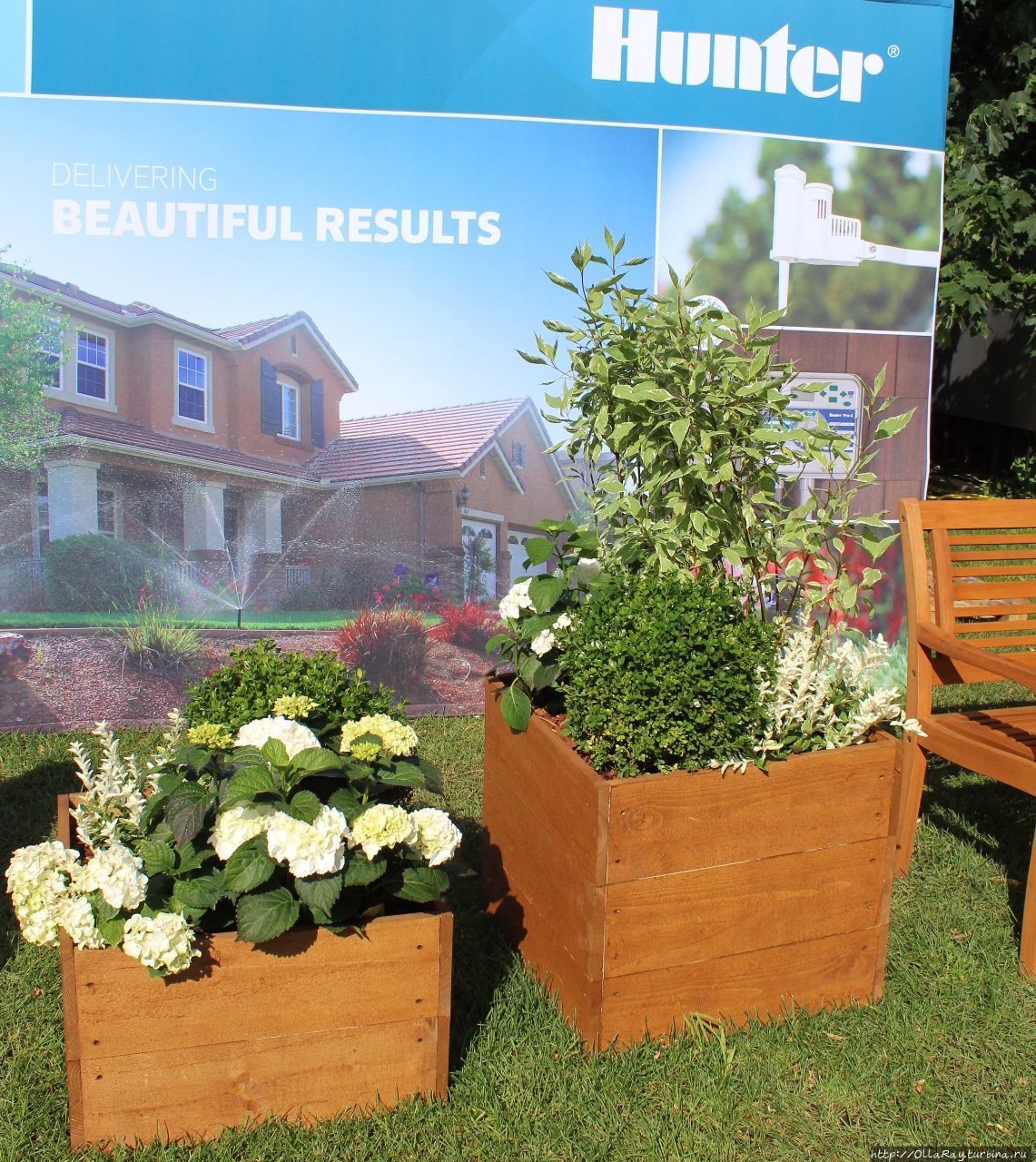 Moscow Flower Show 2017. Фотоотчёт и впечатления. Москва, Россия