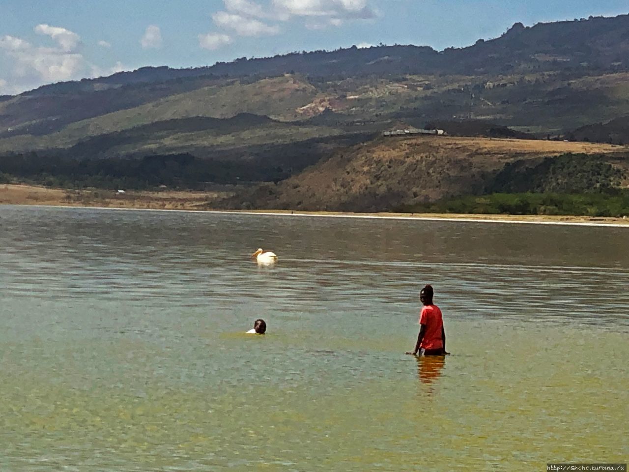 Озеро Элементита Озеро Элментейта, Кения