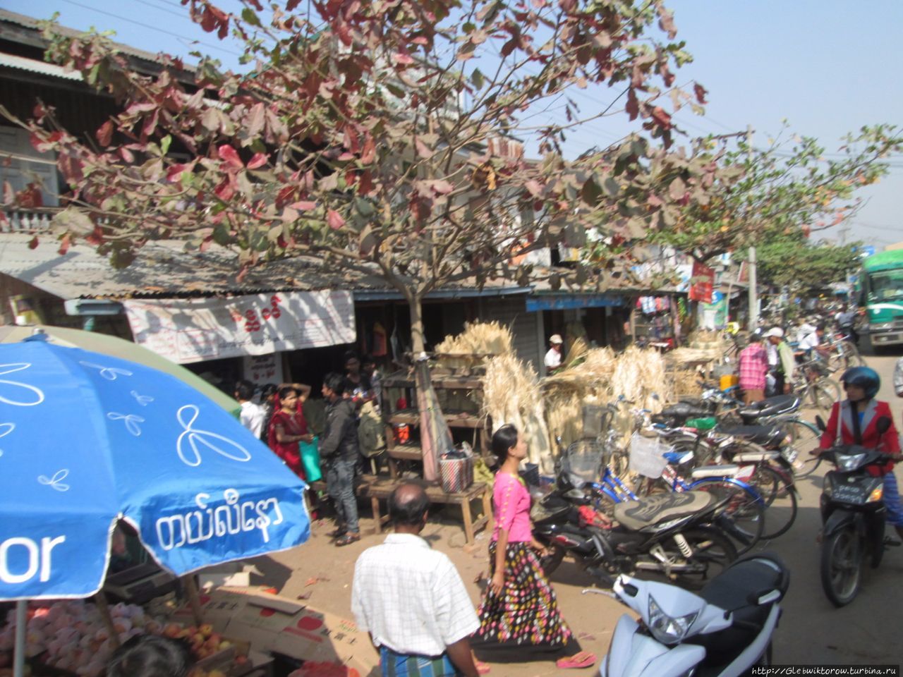 Поездка из Таунгу в Баго Область Багоу, Мьянма