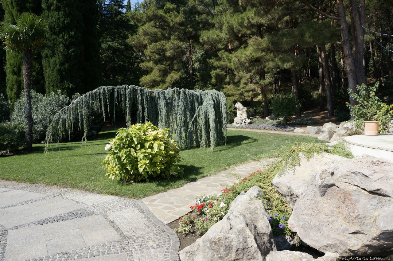 Никитинский ботанический сад в ялте. Воронцовский парк в крыму черноморское лагерь. Никитский ботанический сад ялта. Работа в парках крыма. Ялта партенит парк айвазовского.