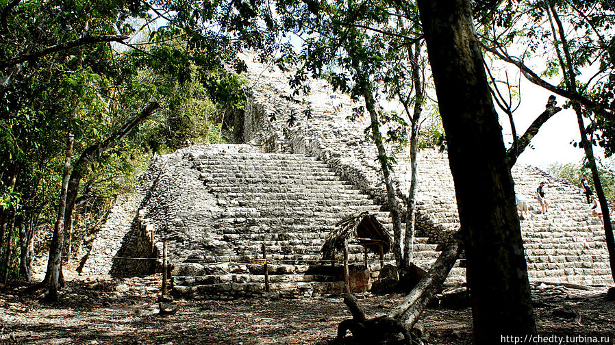 Земля Майя (Глава 6) Коба, Мексика
