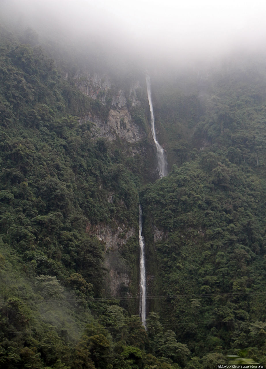 N.P. Cayambe-Coca — горы, реки, водопады. Дорога в облаках Кайамбе-Кока Экологический Заповедник, Эквадор