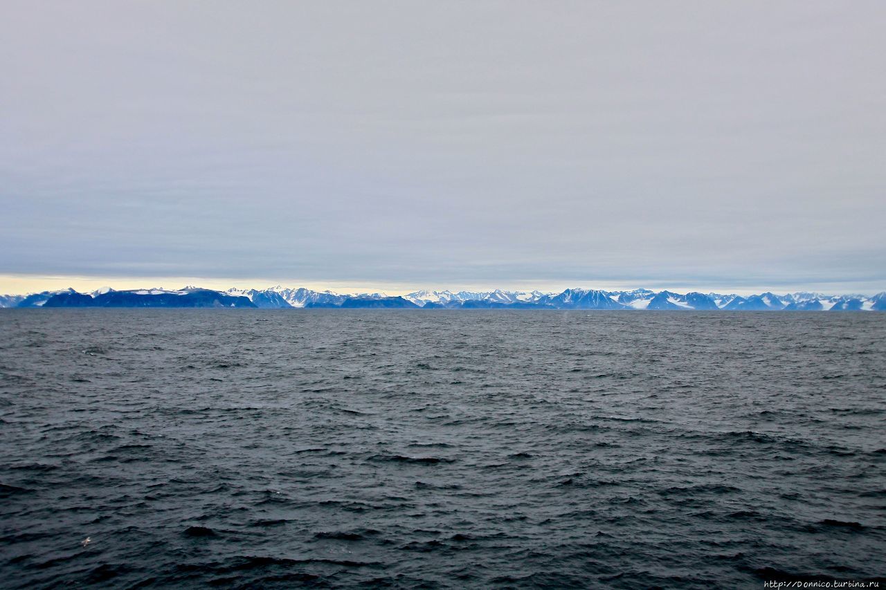 80 градусов северной широты, коктейли, дельфины, киты... Нурвест-Шпицберген Национальный Парк, Свальбард