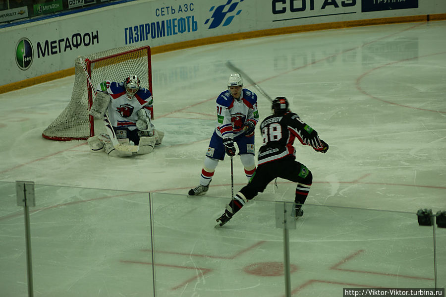 Авангард сильнее Льва Омск, Россия