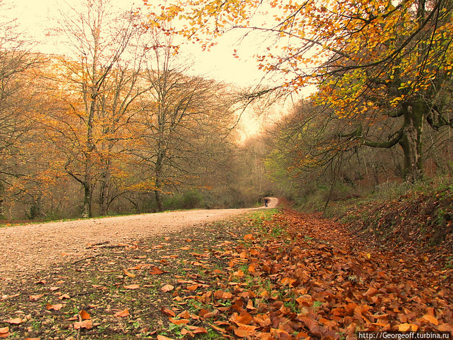 Что такое осень в Кантабрии?