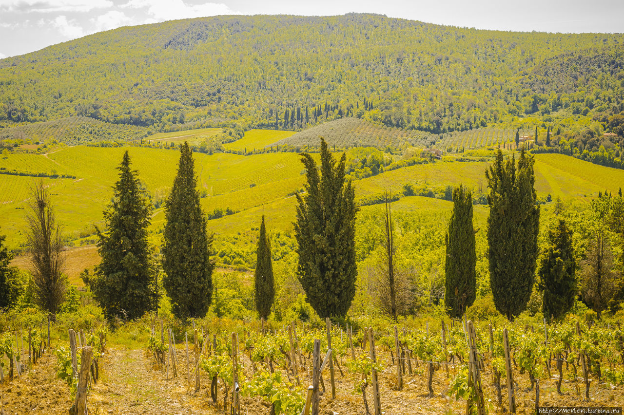 Окрестности San Gimignano Сан-Джиминьяно, Италия
